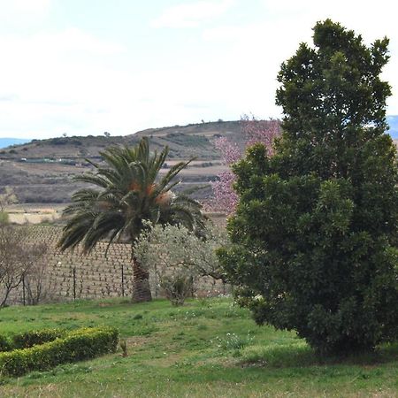 Casa Pichon Etxea Βίλα La puebla de Labarca Εξωτερικό φωτογραφία