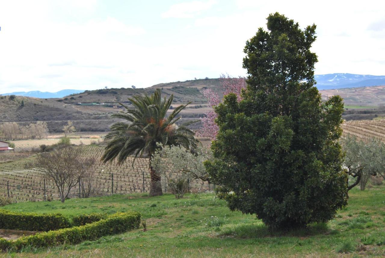 Casa Pichon Etxea Βίλα La puebla de Labarca Εξωτερικό φωτογραφία